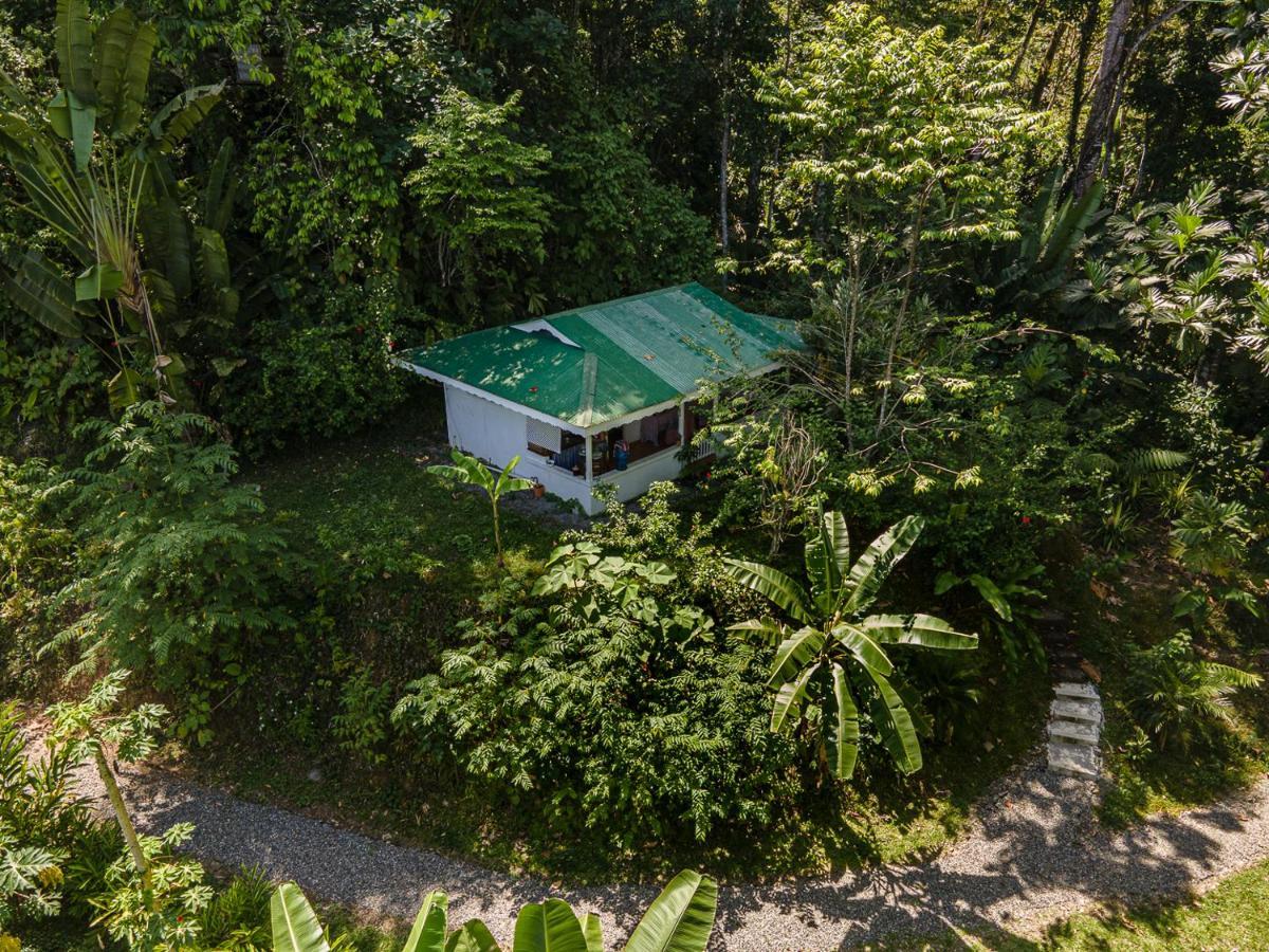 Colina Secreta - Glamping And Villas Puerto Viejo de Talamanca Exterior photo