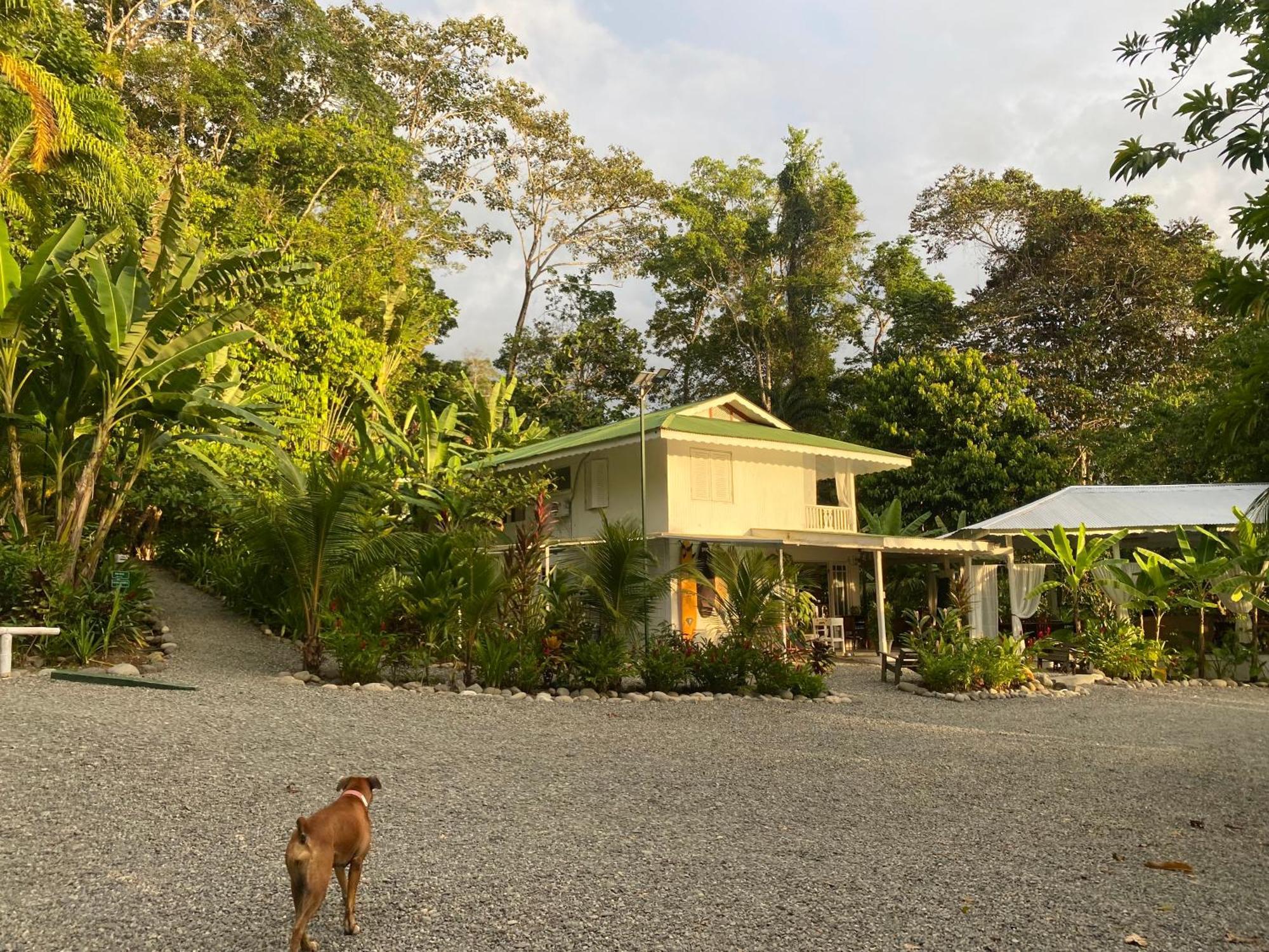 Colina Secreta - Glamping And Villas Puerto Viejo de Talamanca Exterior photo