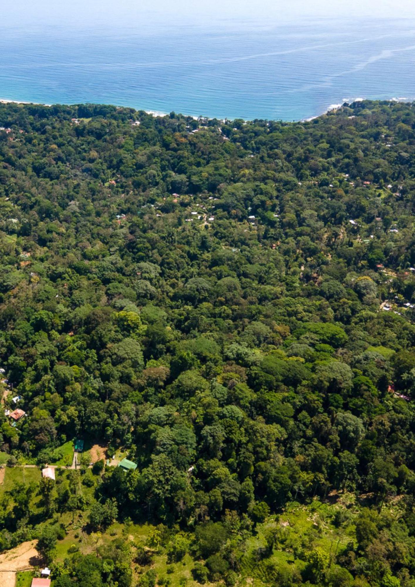 Colina Secreta - Glamping And Villas Puerto Viejo de Talamanca Exterior photo